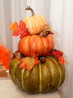 Fall Tea Brunch 11/17/24